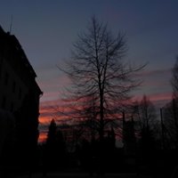 DSCN2135.jpg